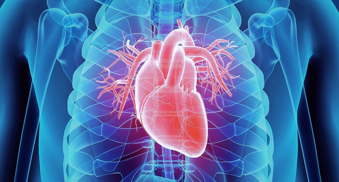 Захворювання серцево-судинної системи